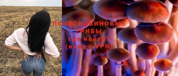 стаф Арсеньев