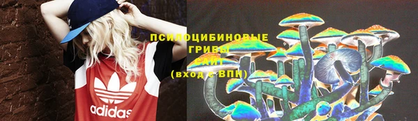 стаф Арсеньев
