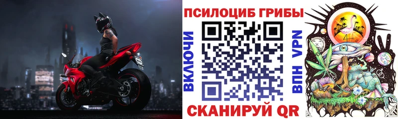 Псилоцибиновые грибы MAGIC MUSHROOMS  как найти закладки  Кыштым 