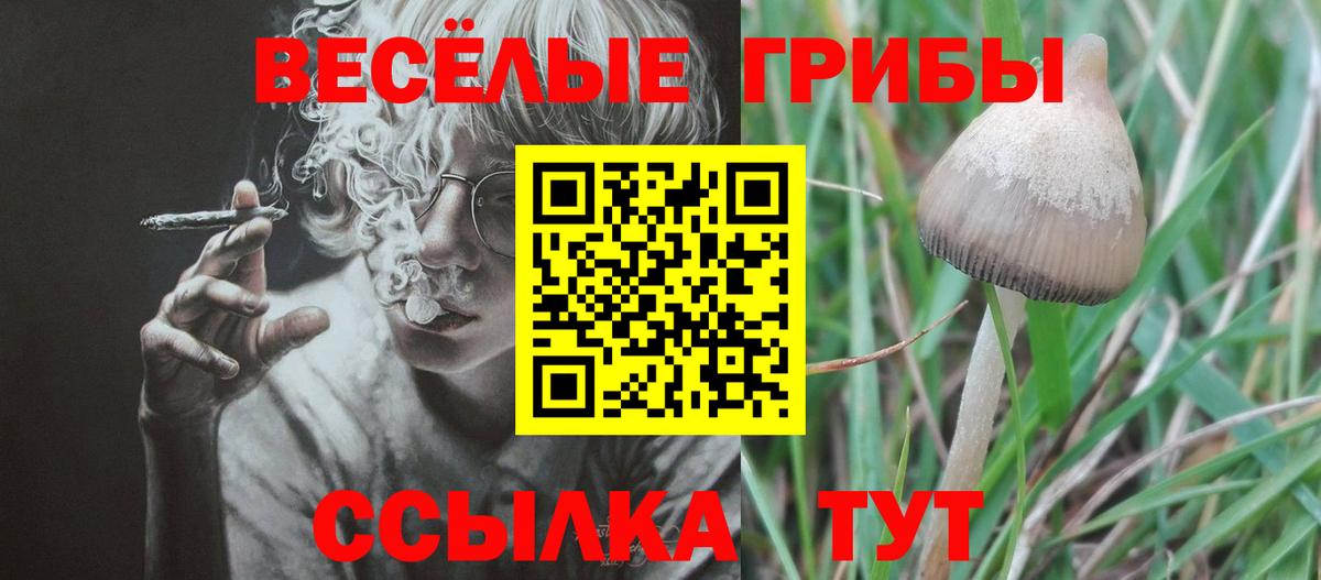 Псилоцибиновые грибы ЛСД Кыштым