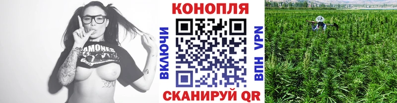 Бошки марихуана план  наркота  Кыштым 